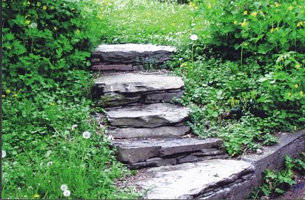 Steps