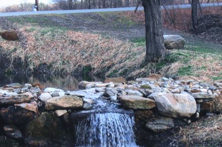 Pond