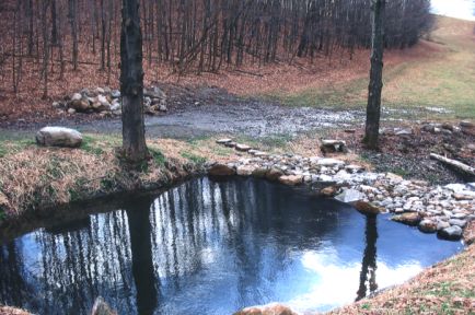 Water Feature